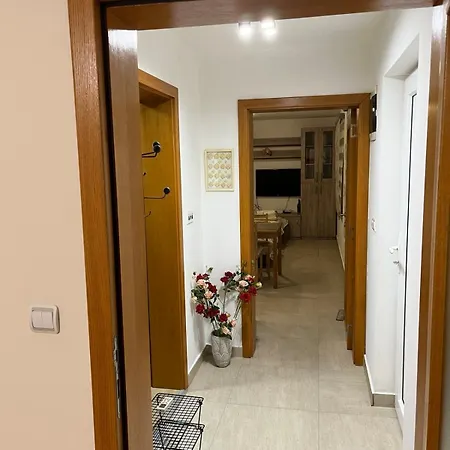 Апартаменты Zanes Mini Center Кладово